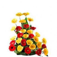 Gerbera Flowers Designer Bouquets